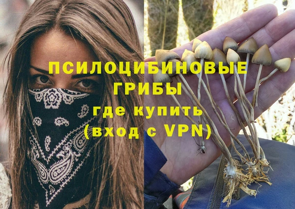 тгк Аркадак