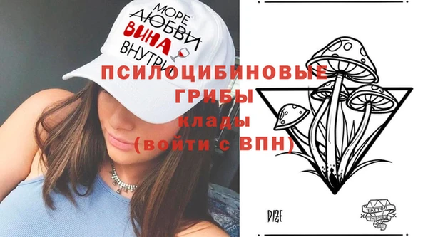 дмт Баксан